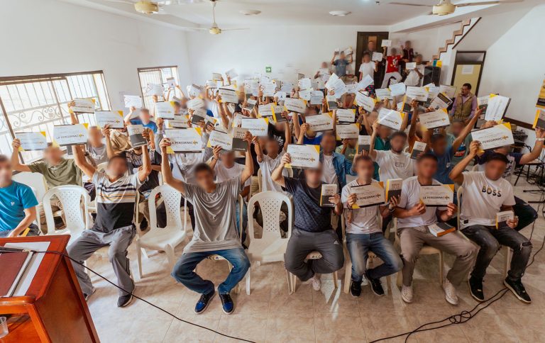 arbol_sicomoro_programa