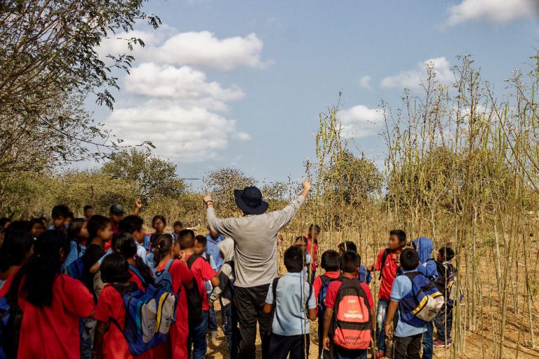 proyecto_moringa_confraternidad_carcelaria